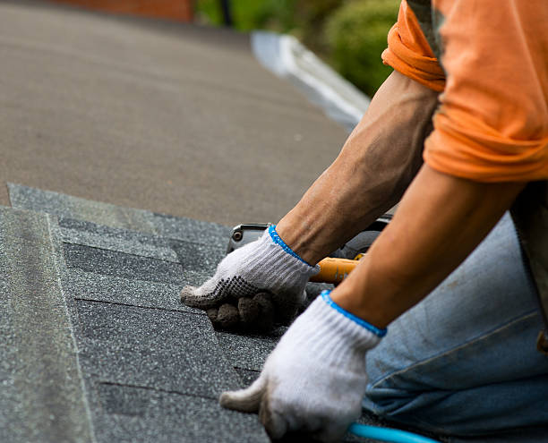 Best Roof Gutter Cleaning  in Winona, MS